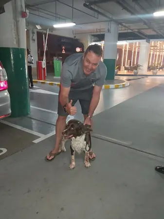 A man holding his dog’s lead at the airport.