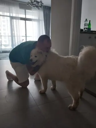 A man crouching at home to greet his fluffy white dog.